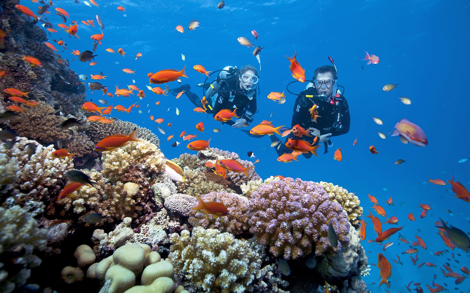 tour-du-lich-phu-quoc-1-ngay-lan-bien-ngam-san-ho-cau-ca-1-1